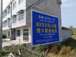 上高墙体广告质量分析