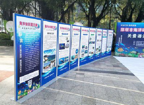 上高KT板的种类和知识。